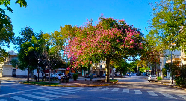 Plazoleta Romeo Raffo Bontá