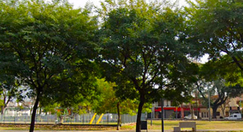 Cantero Armando Tejada Gomez