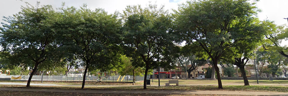 Cantero Central Armando Tejada Gómez