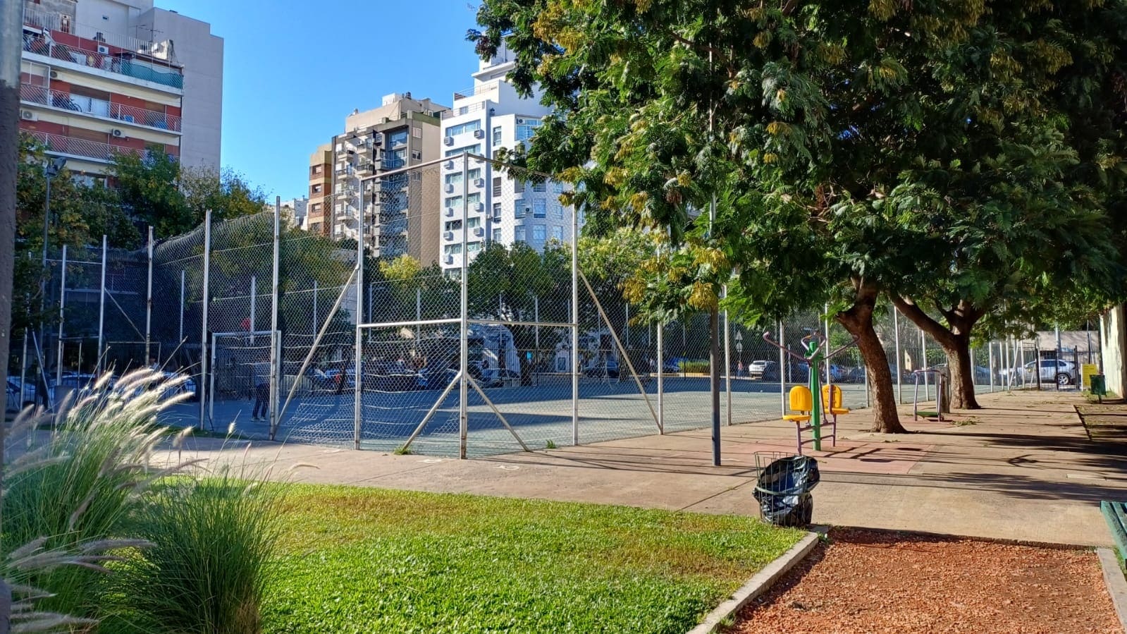 Descripción de la imagen